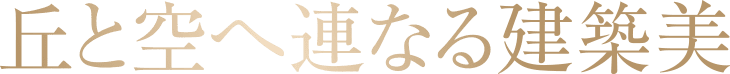 南東約48mのファサード
